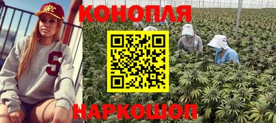 мяу мяу мука Кунгур