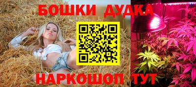 спиды Ливны